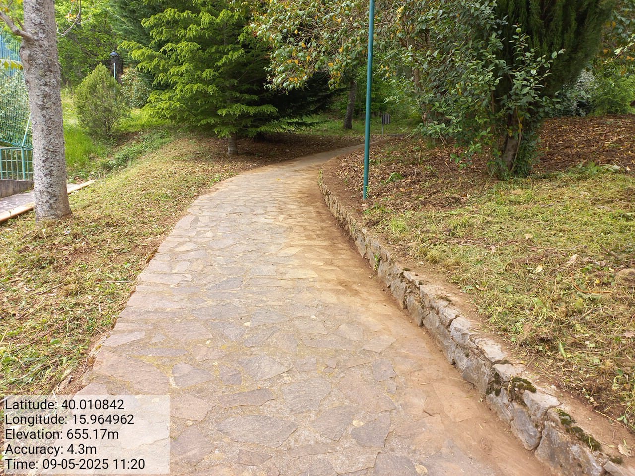 Galleria Fotografica Immagine