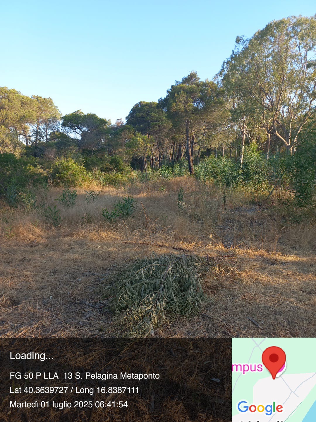 Galleria Fotografica Immagine