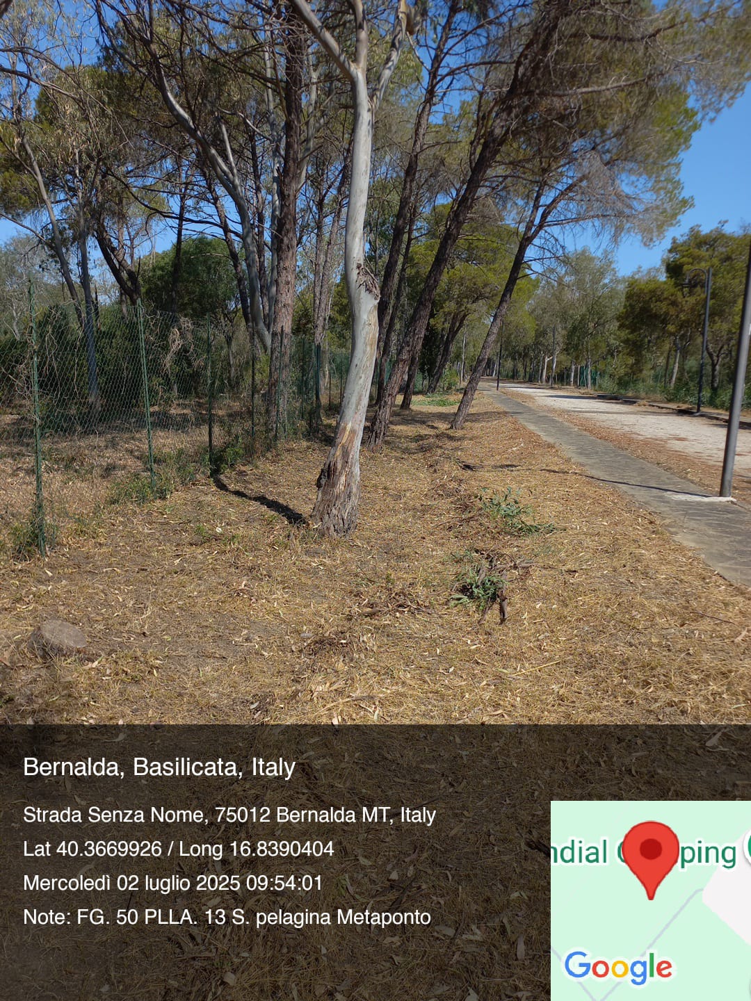 Galleria Fotografica Immagine