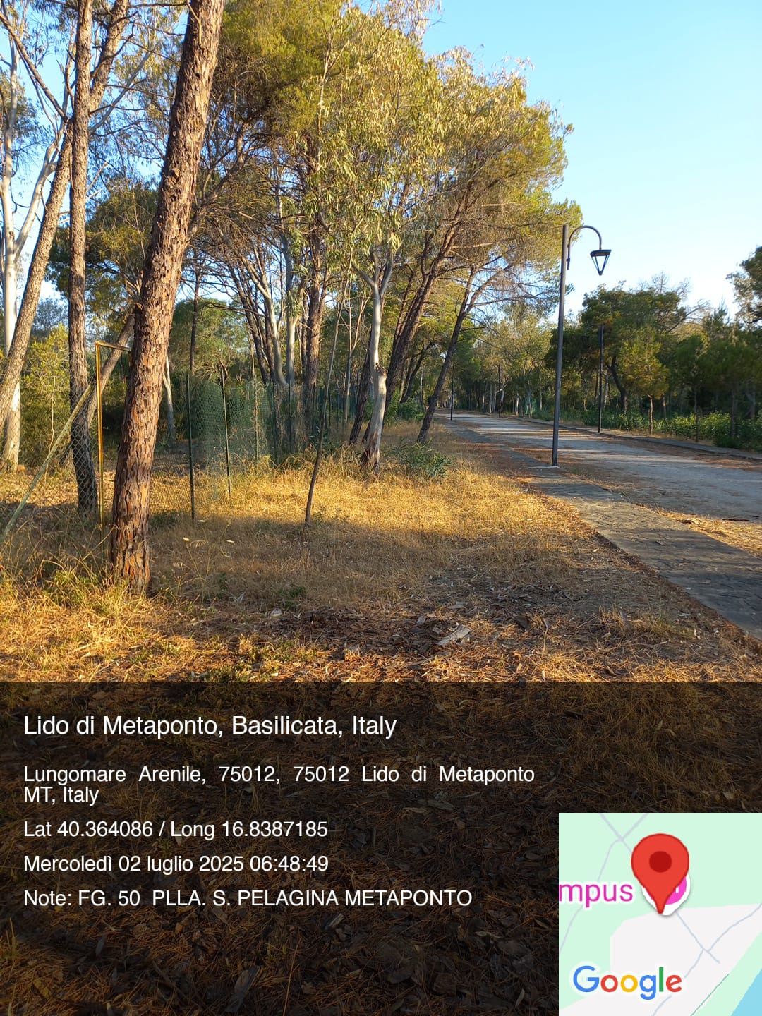 Galleria Fotografica Immagine