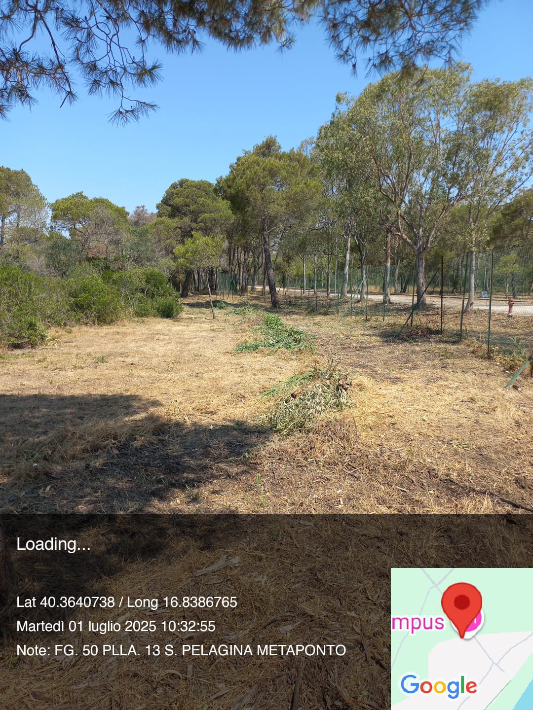 Galleria Fotografica Immagine