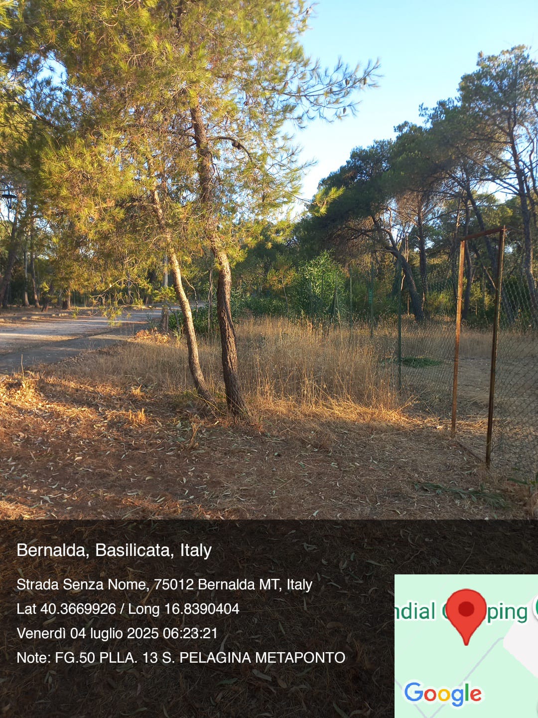 Galleria Fotografica Immagine