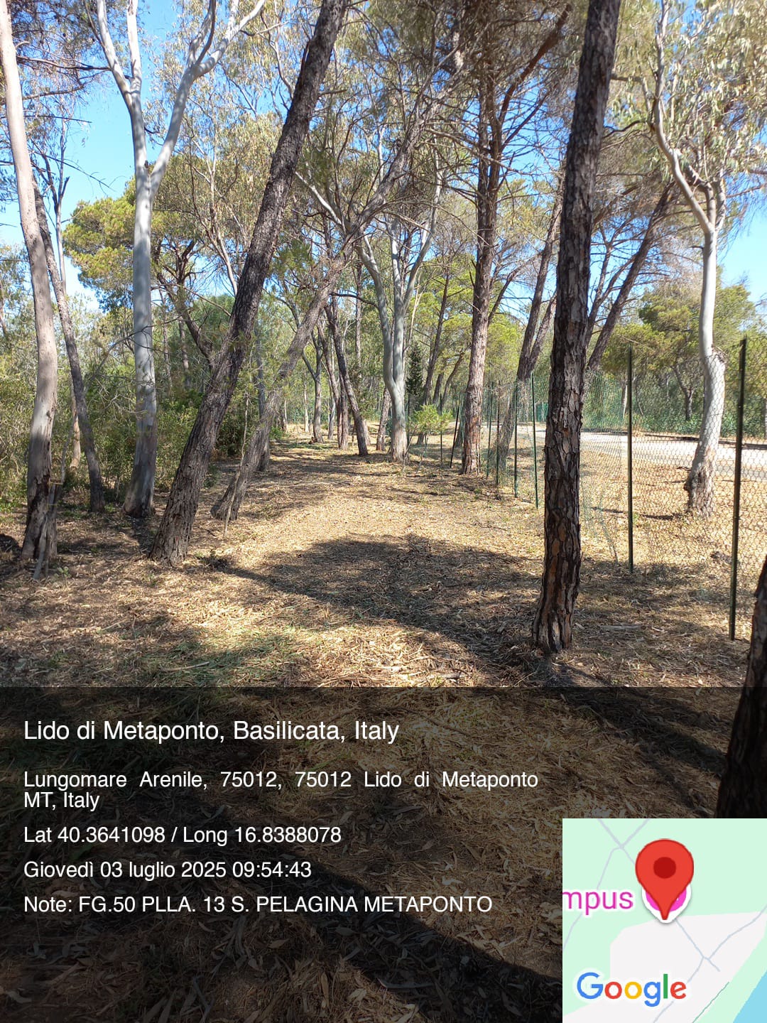 Galleria Fotografica Immagine