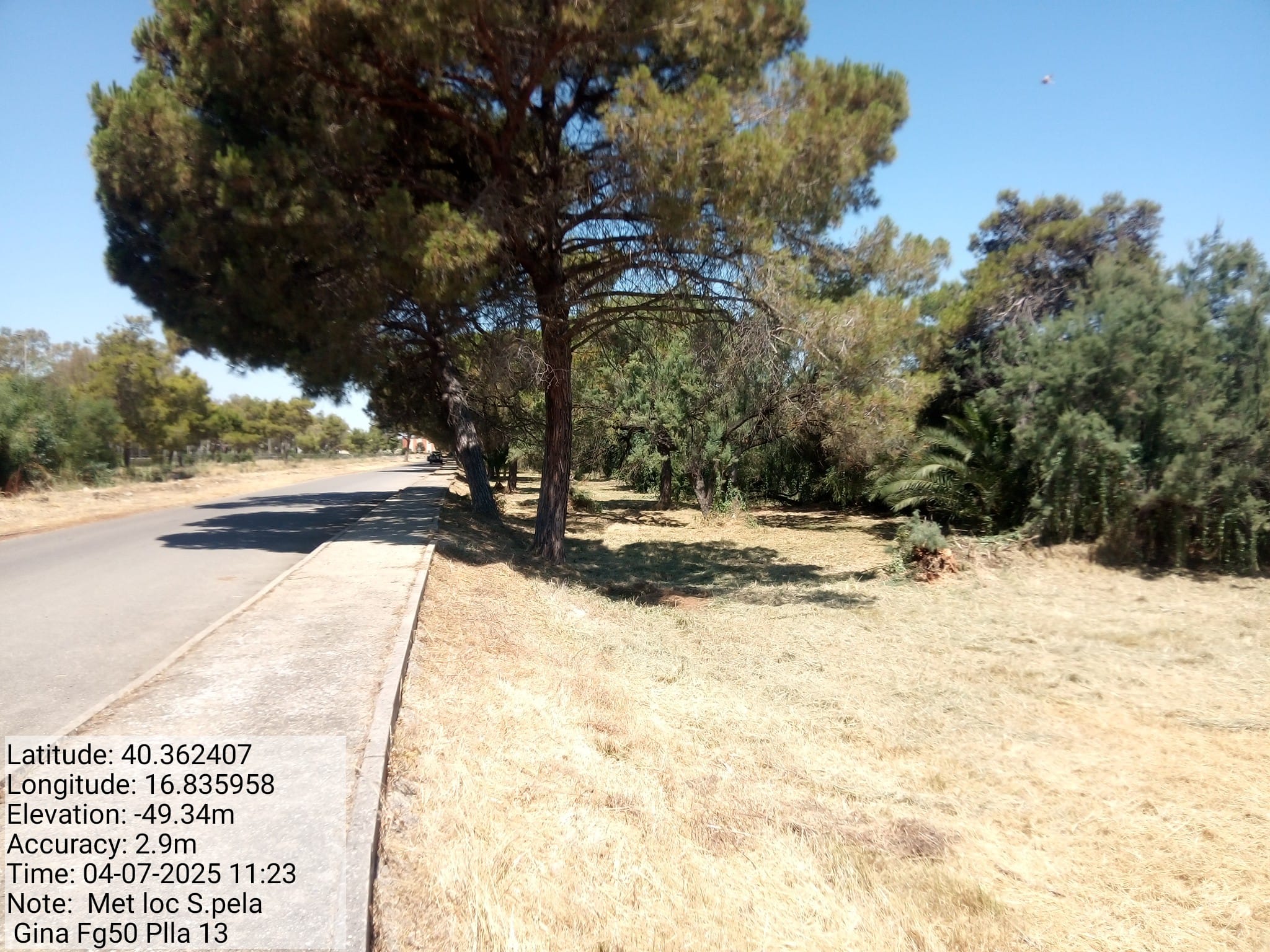 Galleria Fotografica Immagine