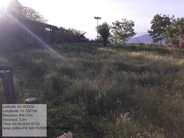 Galleria Fotografica Immagine