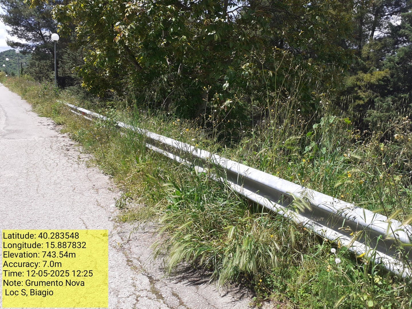 Galleria Fotografica Immagine