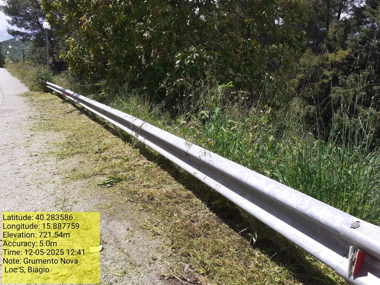 Galleria Fotografica Immagine