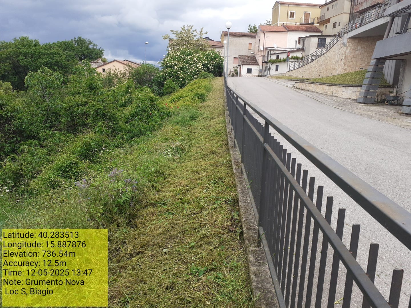 Galleria Fotografica Immagine