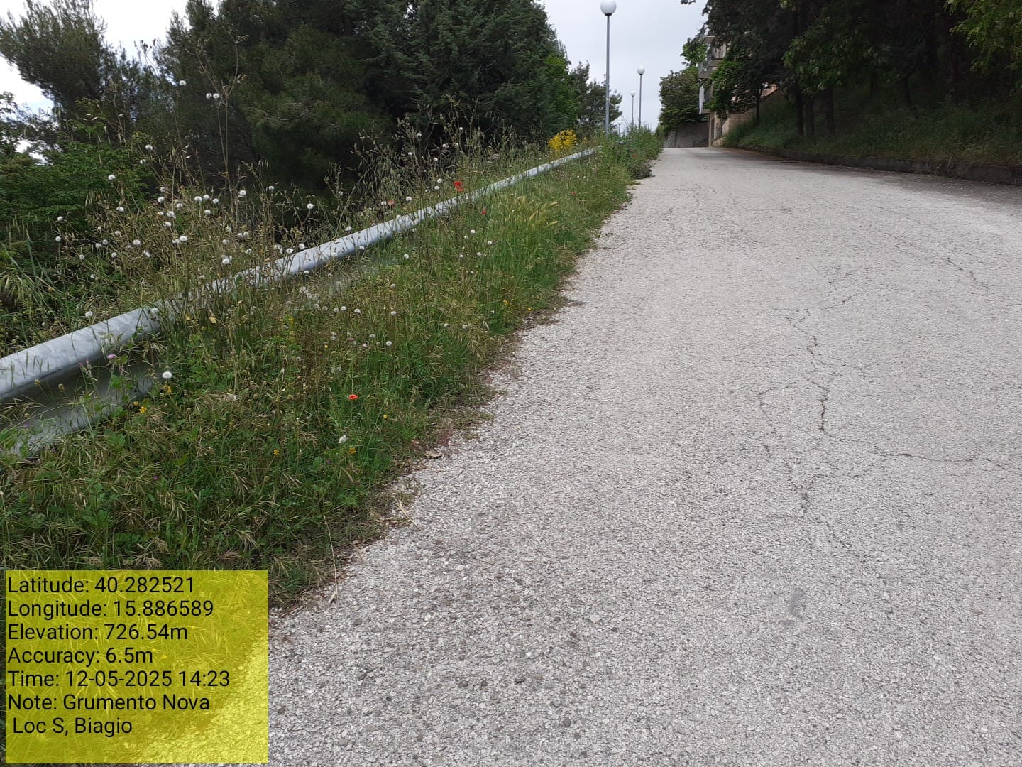 Galleria Fotografica Immagine