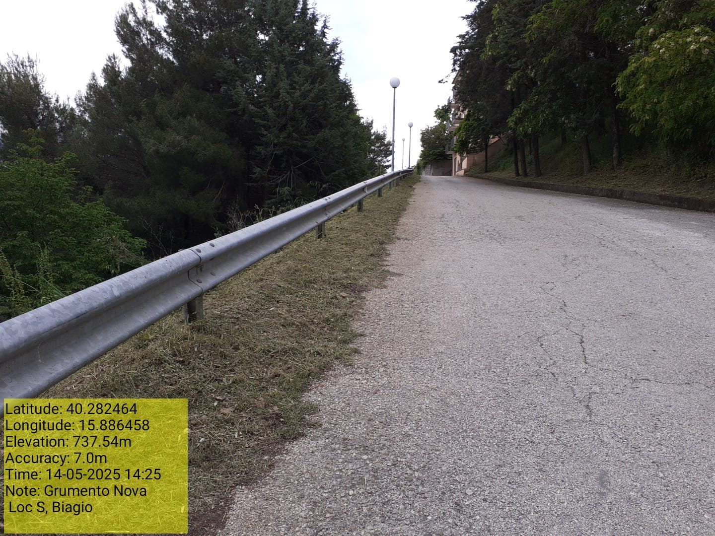 Galleria Fotografica Immagine