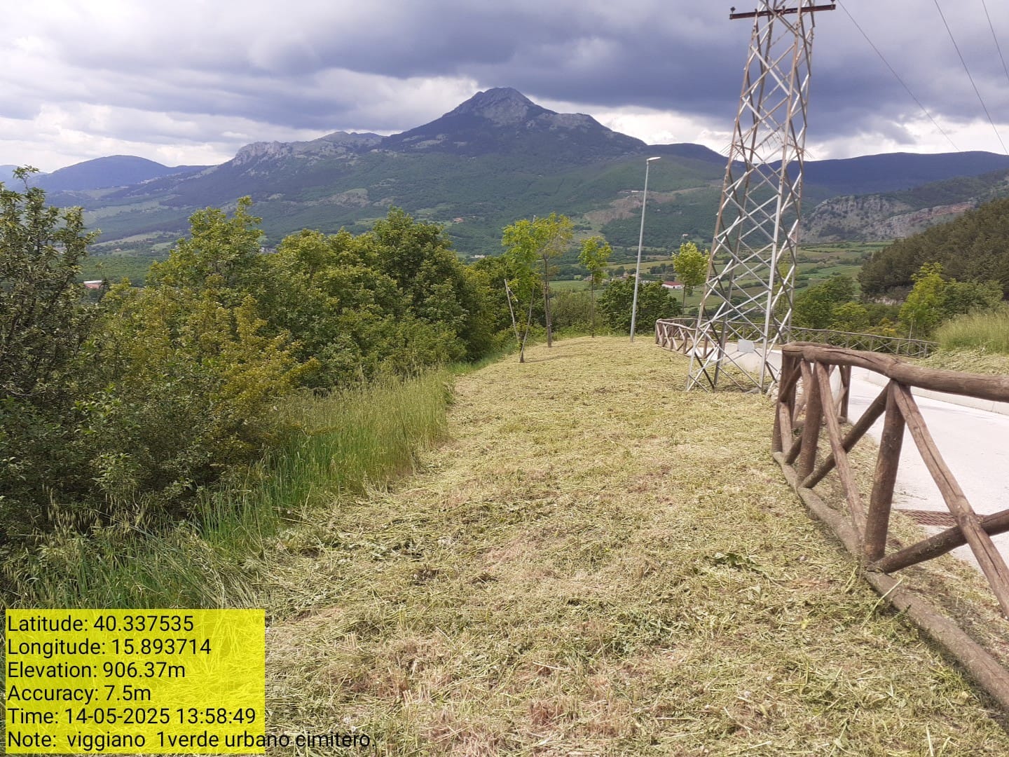 Galleria Fotografica Immagine