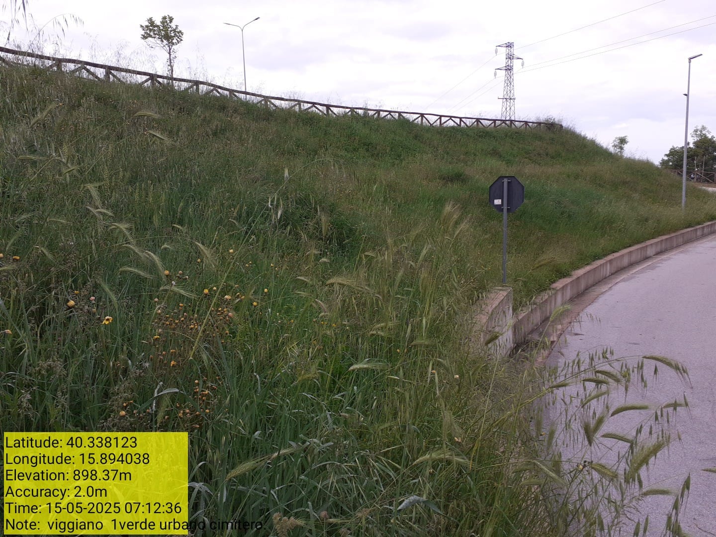 Galleria Fotografica Immagine