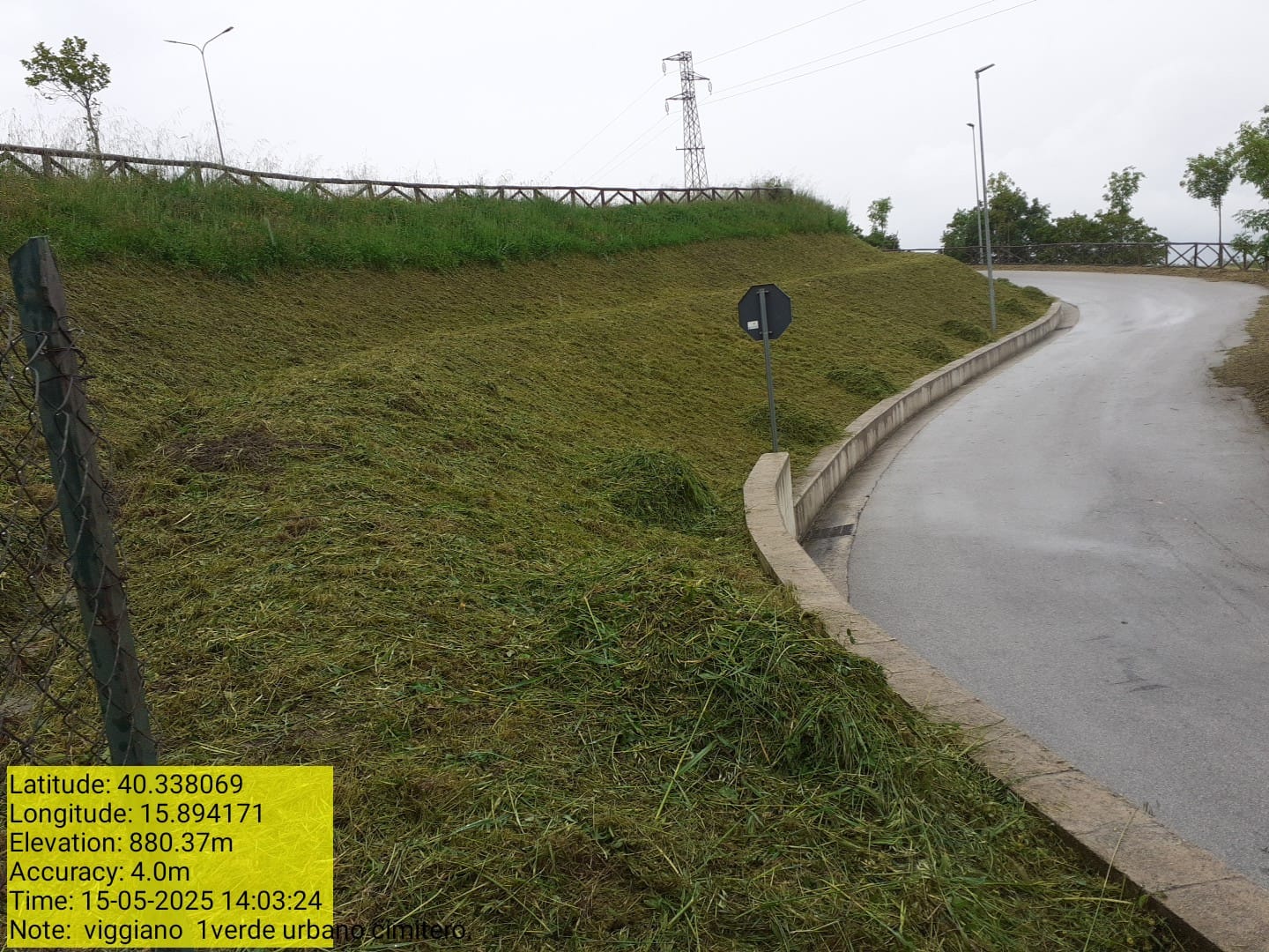 Galleria Fotografica Immagine