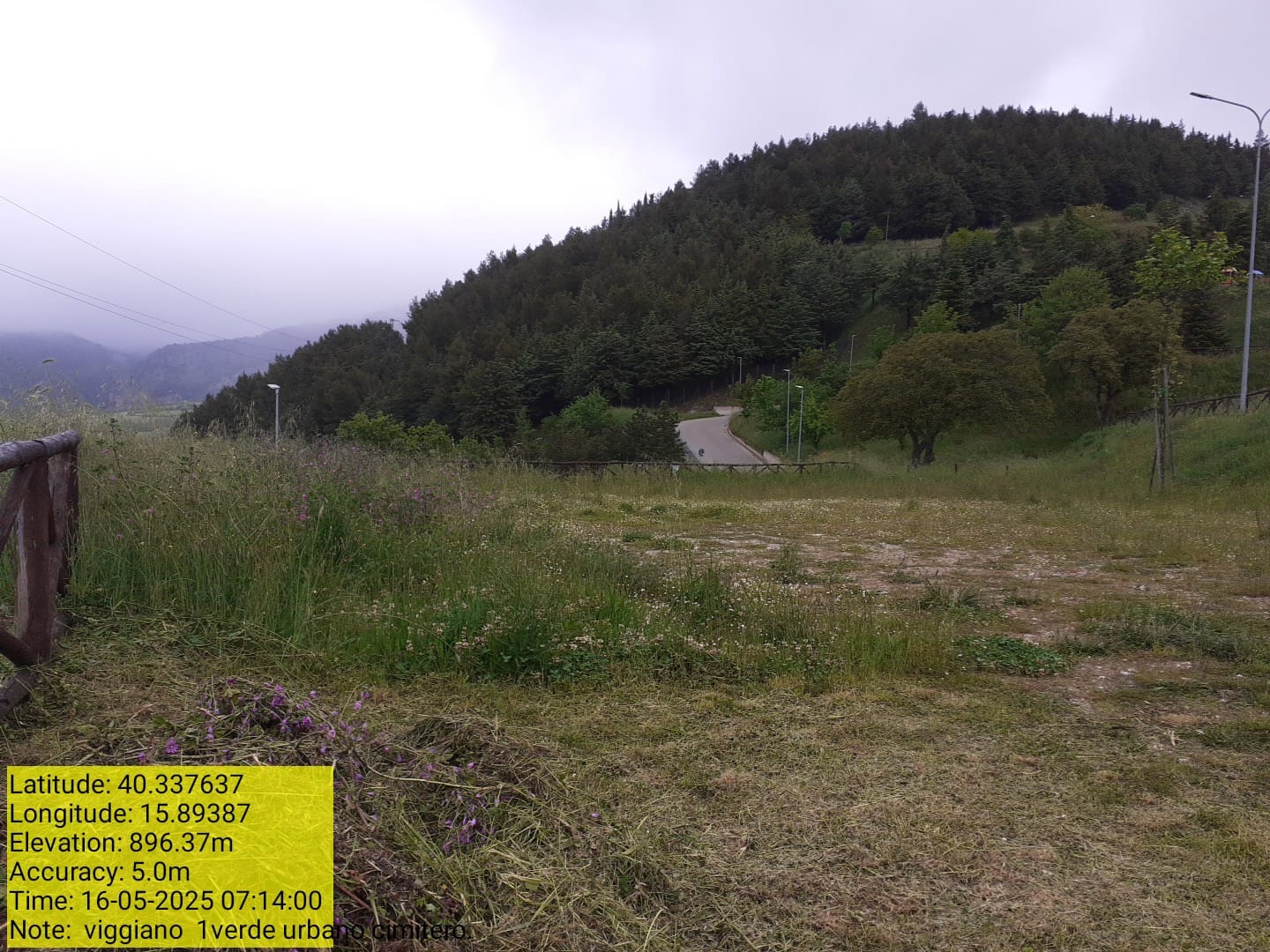 Galleria Fotografica Immagine