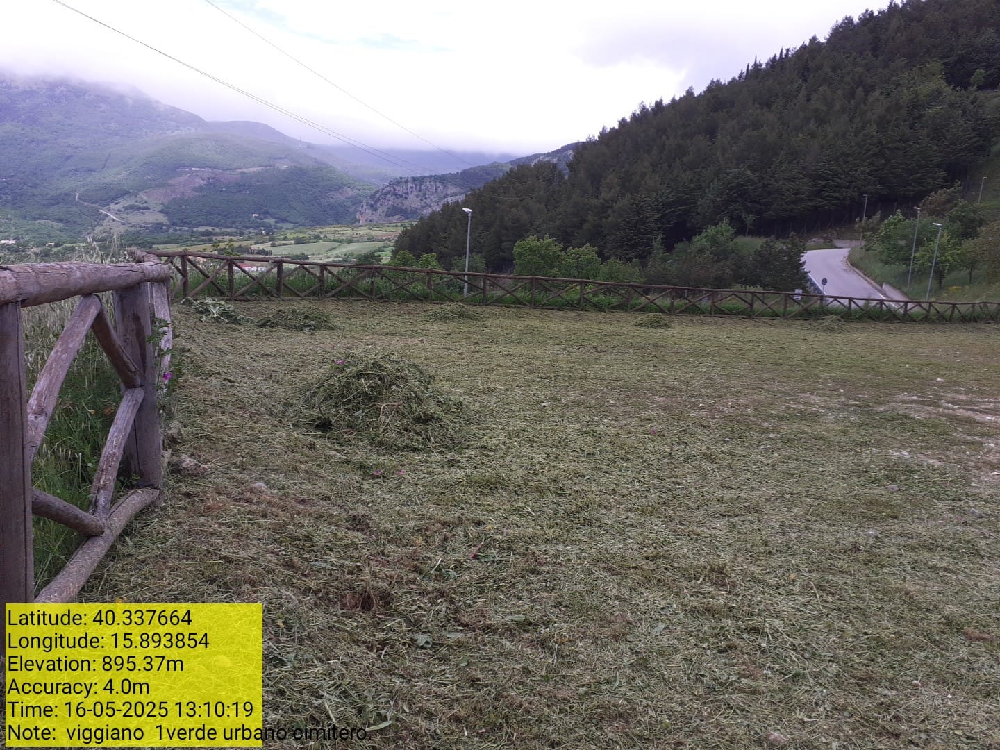 Galleria Fotografica Immagine