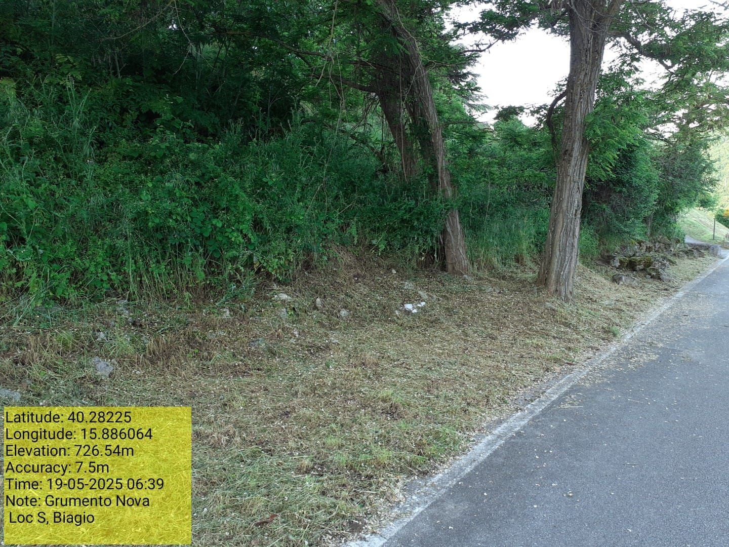 Galleria Fotografica Immagine