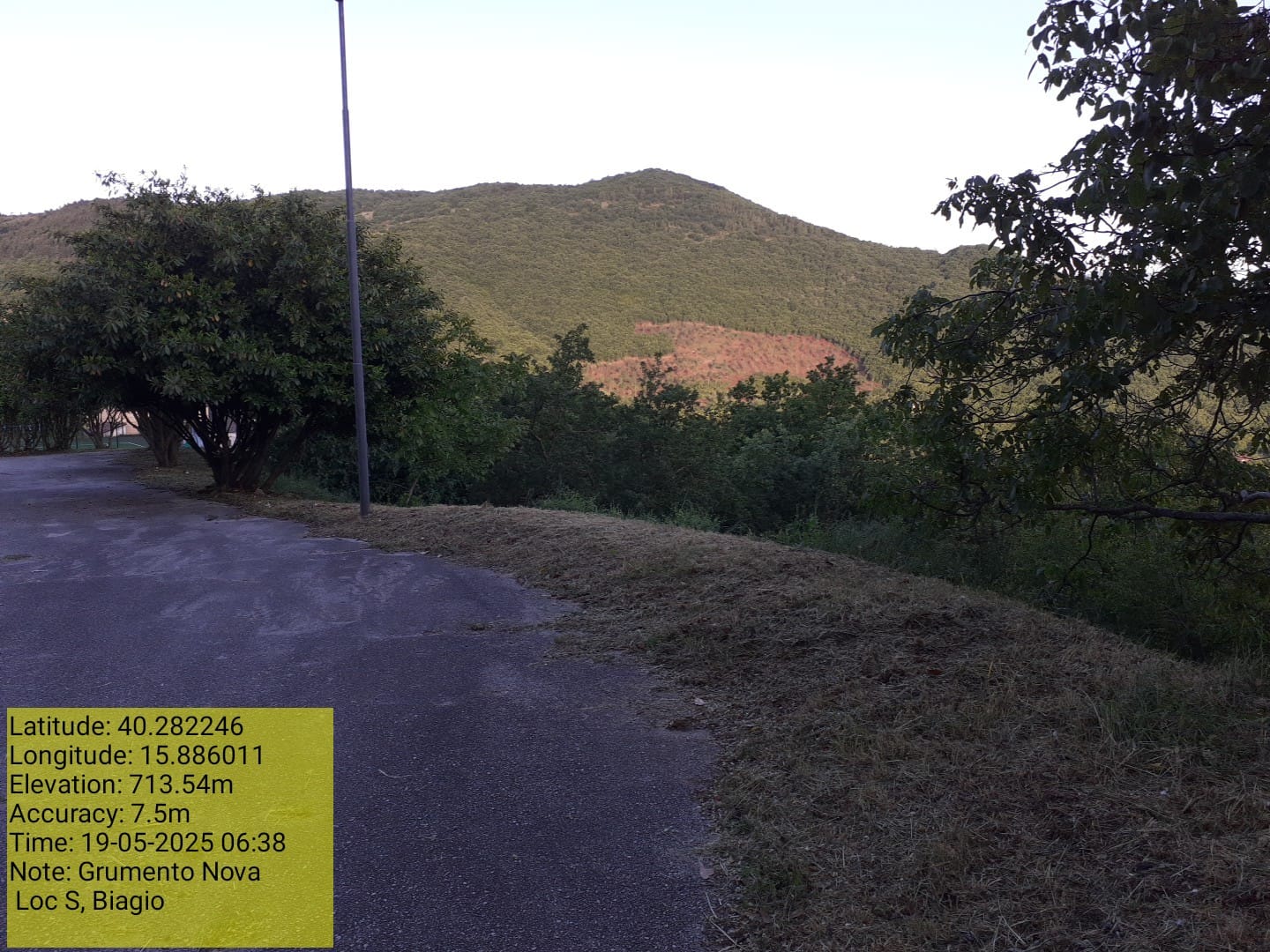 Galleria Fotografica Immagine