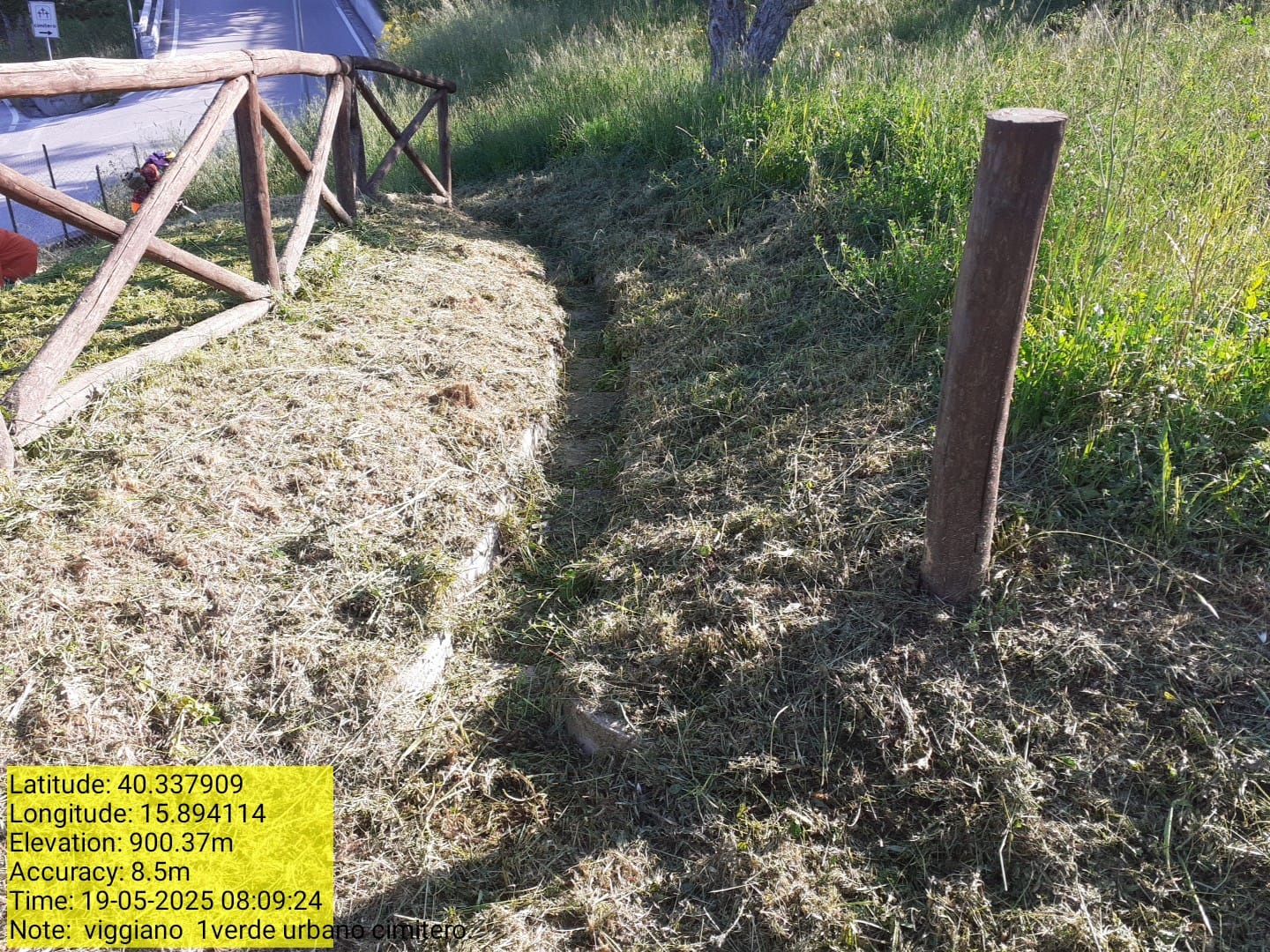 Galleria Fotografica Immagine