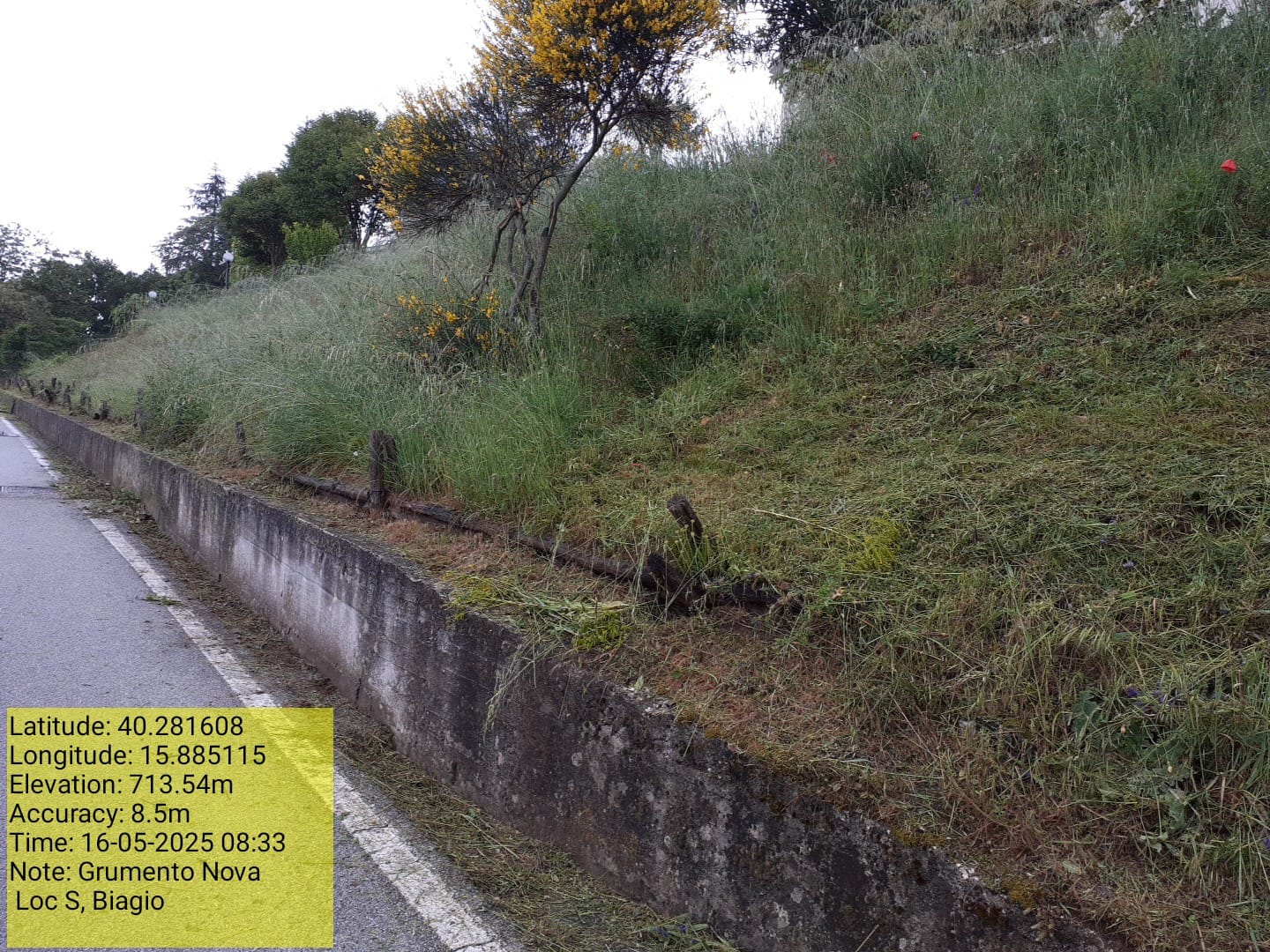 Galleria Fotografica Immagine