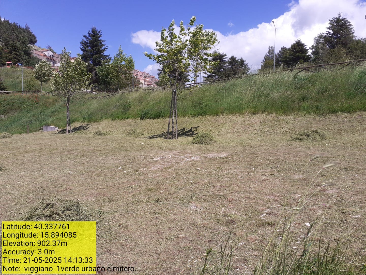 Galleria Fotografica Immagine