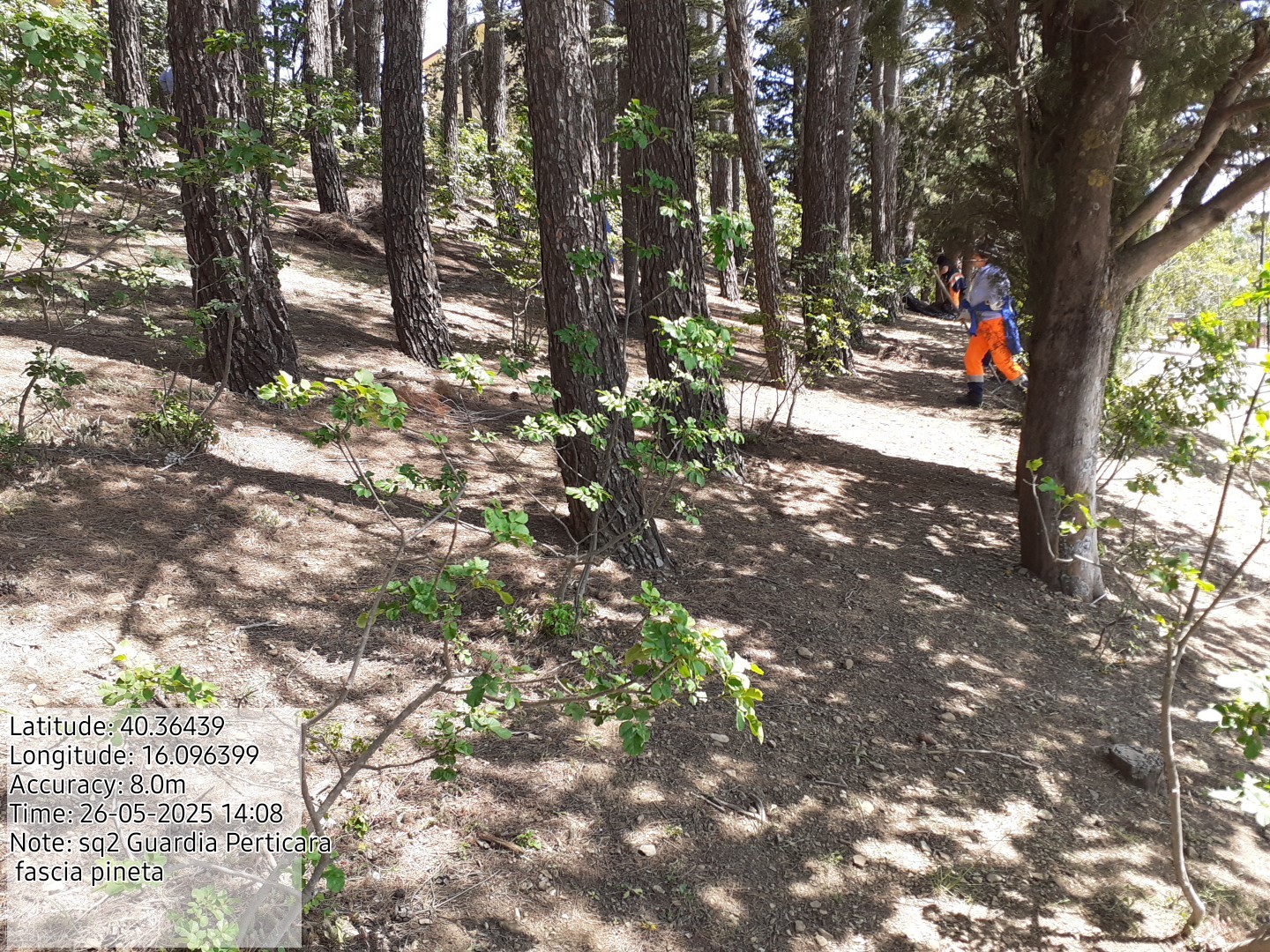 Galleria Fotografica Immagine