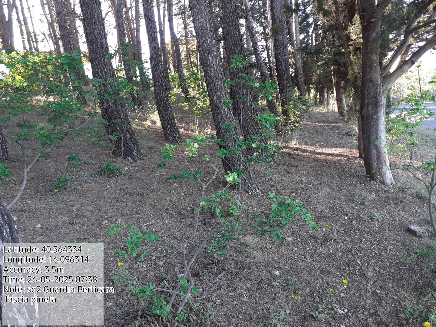 Galleria Fotografica Immagine