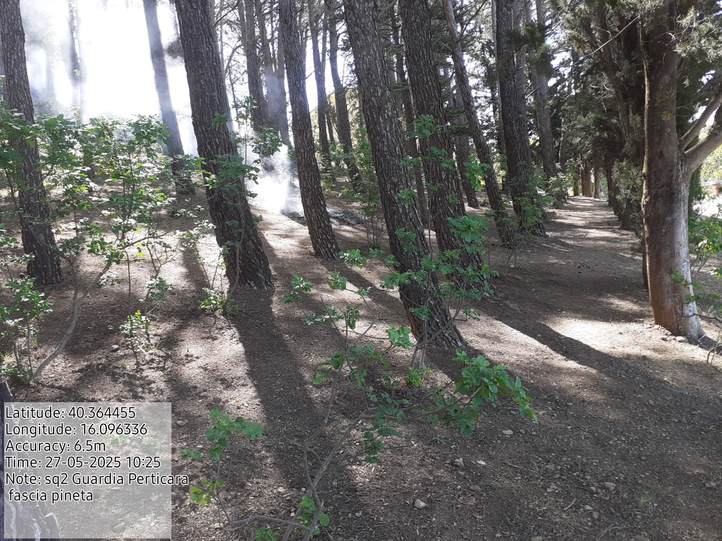 Galleria Fotografica Immagine