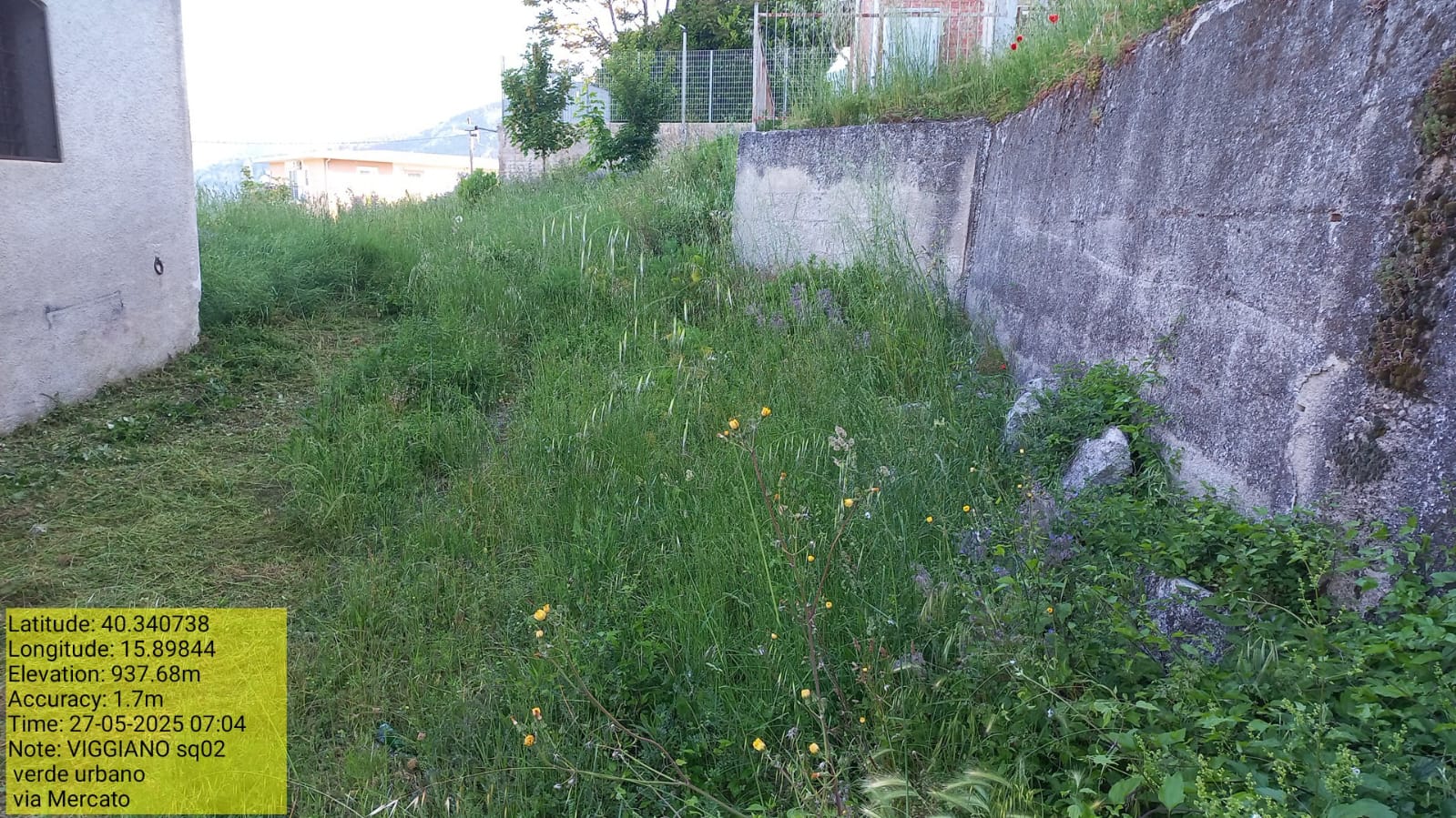 Galleria Fotografica Immagine