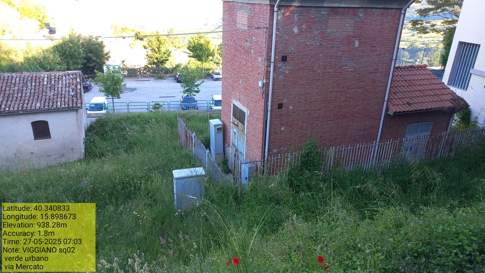 Galleria Fotografica Immagine