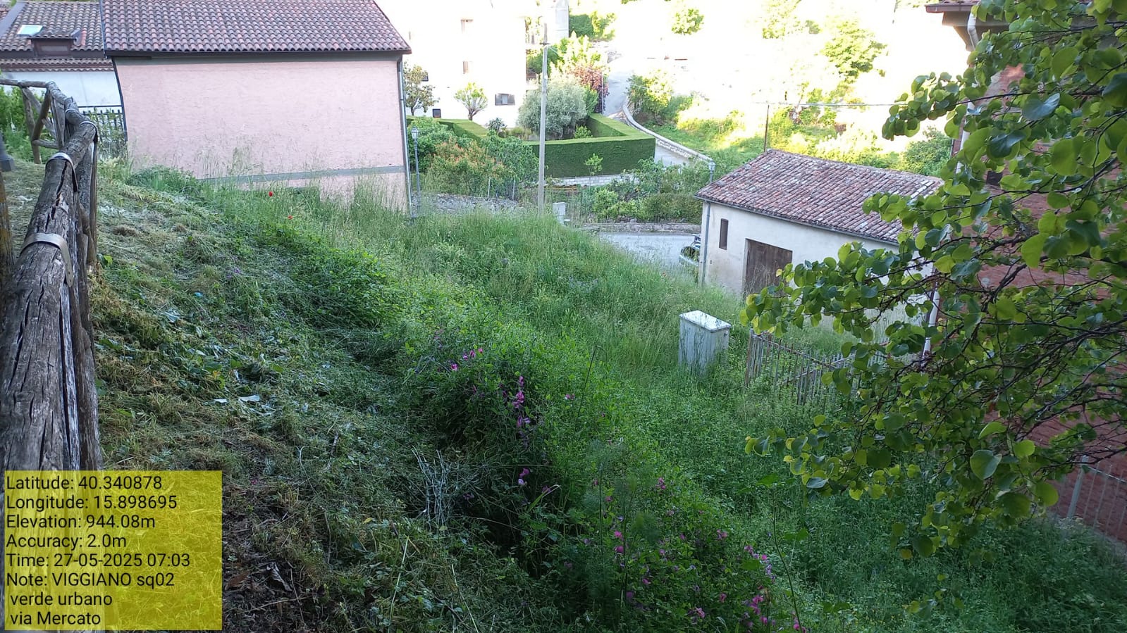 Galleria Fotografica Immagine