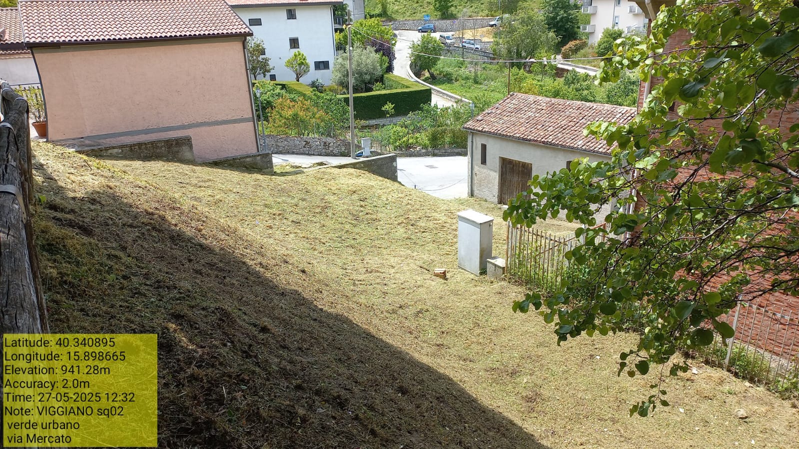 Galleria Fotografica Immagine