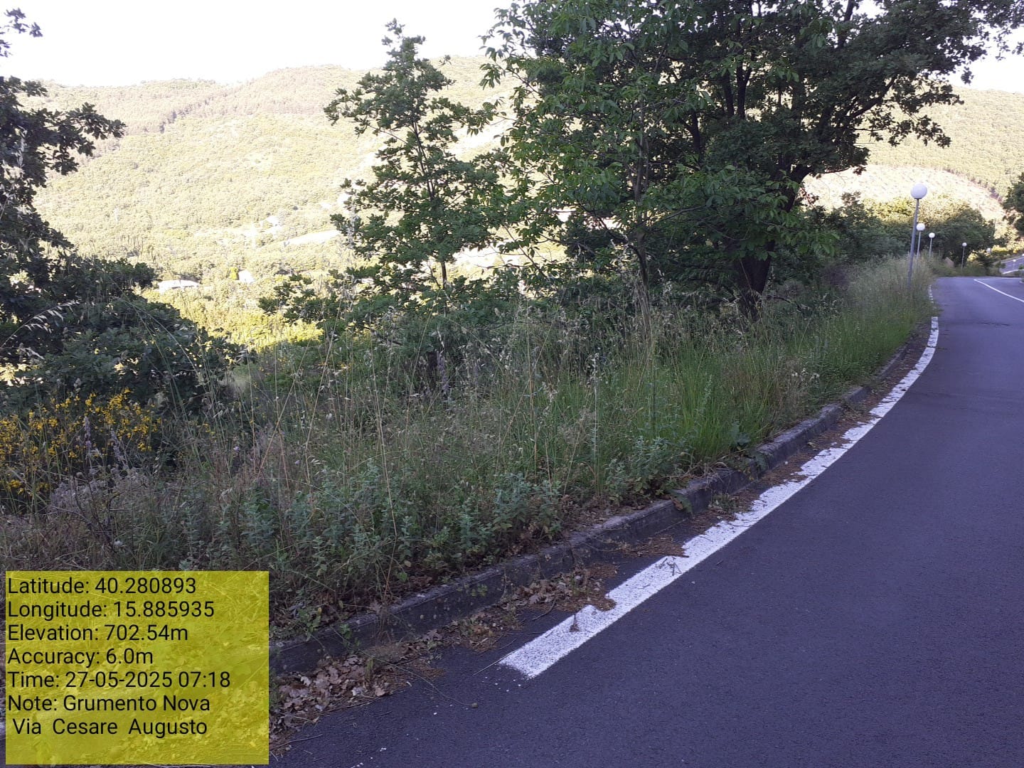 Galleria Fotografica Immagine