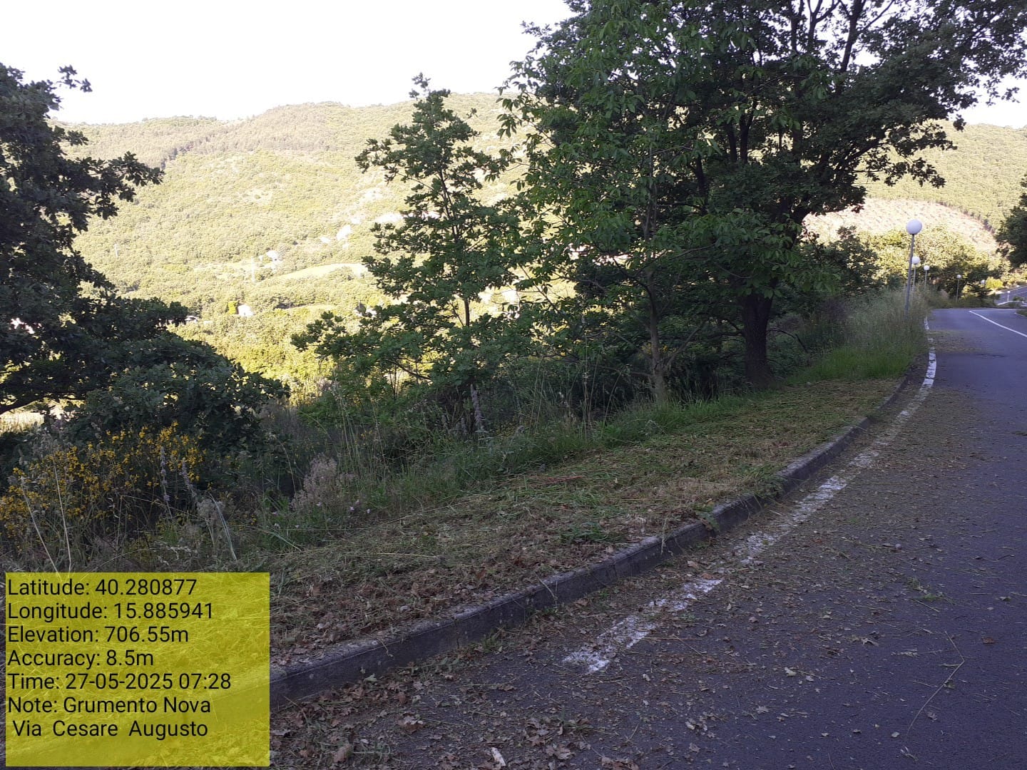 Galleria Fotografica Immagine