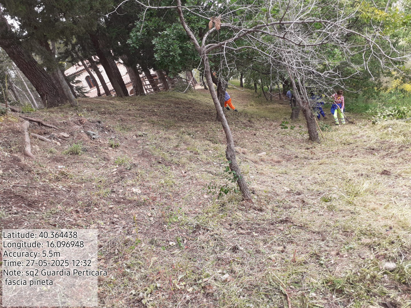 Galleria Fotografica Immagine