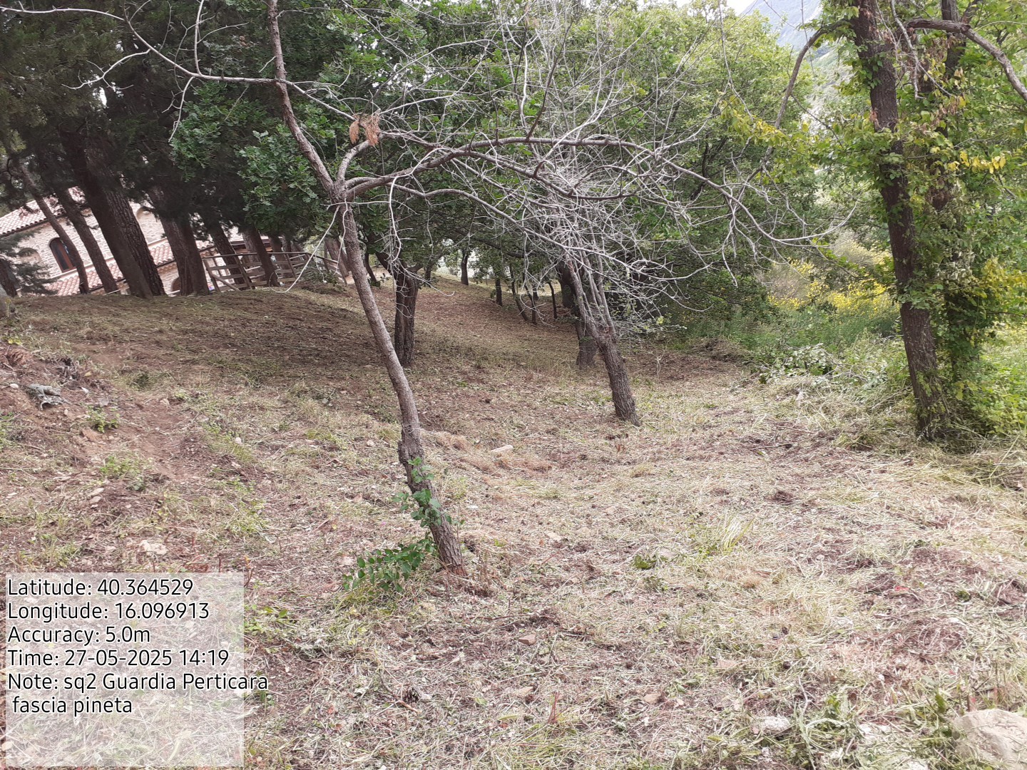 Galleria Fotografica Immagine