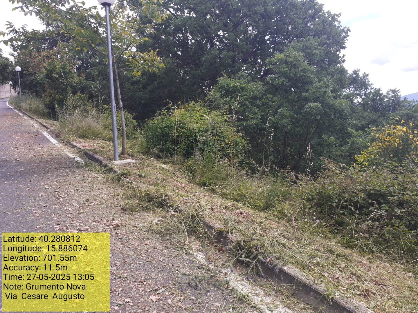 Galleria Fotografica Immagine