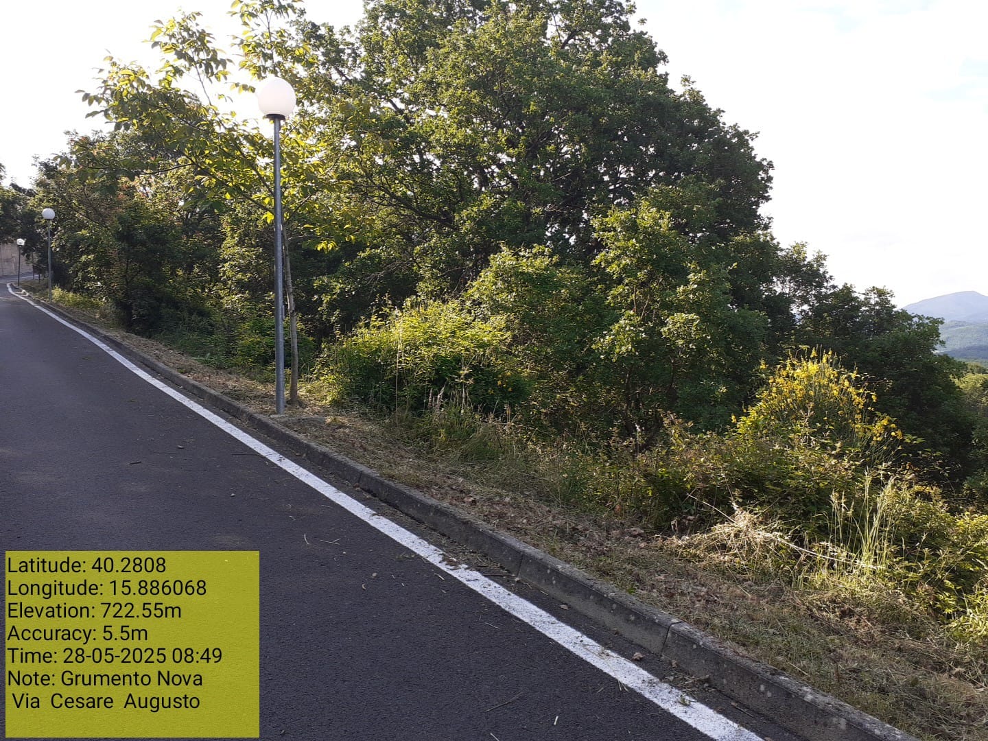 Galleria Fotografica Immagine