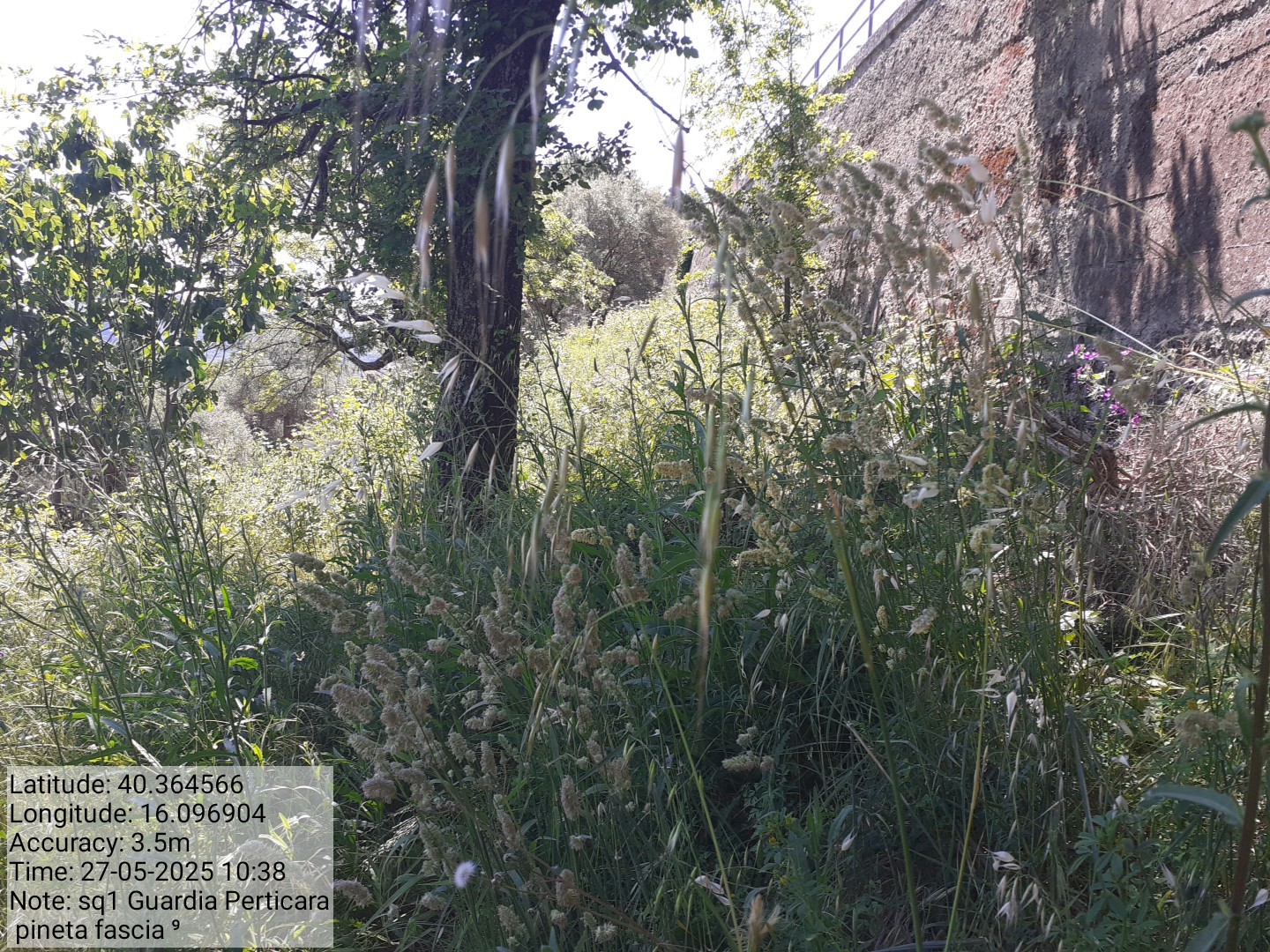 Galleria Fotografica Immagine