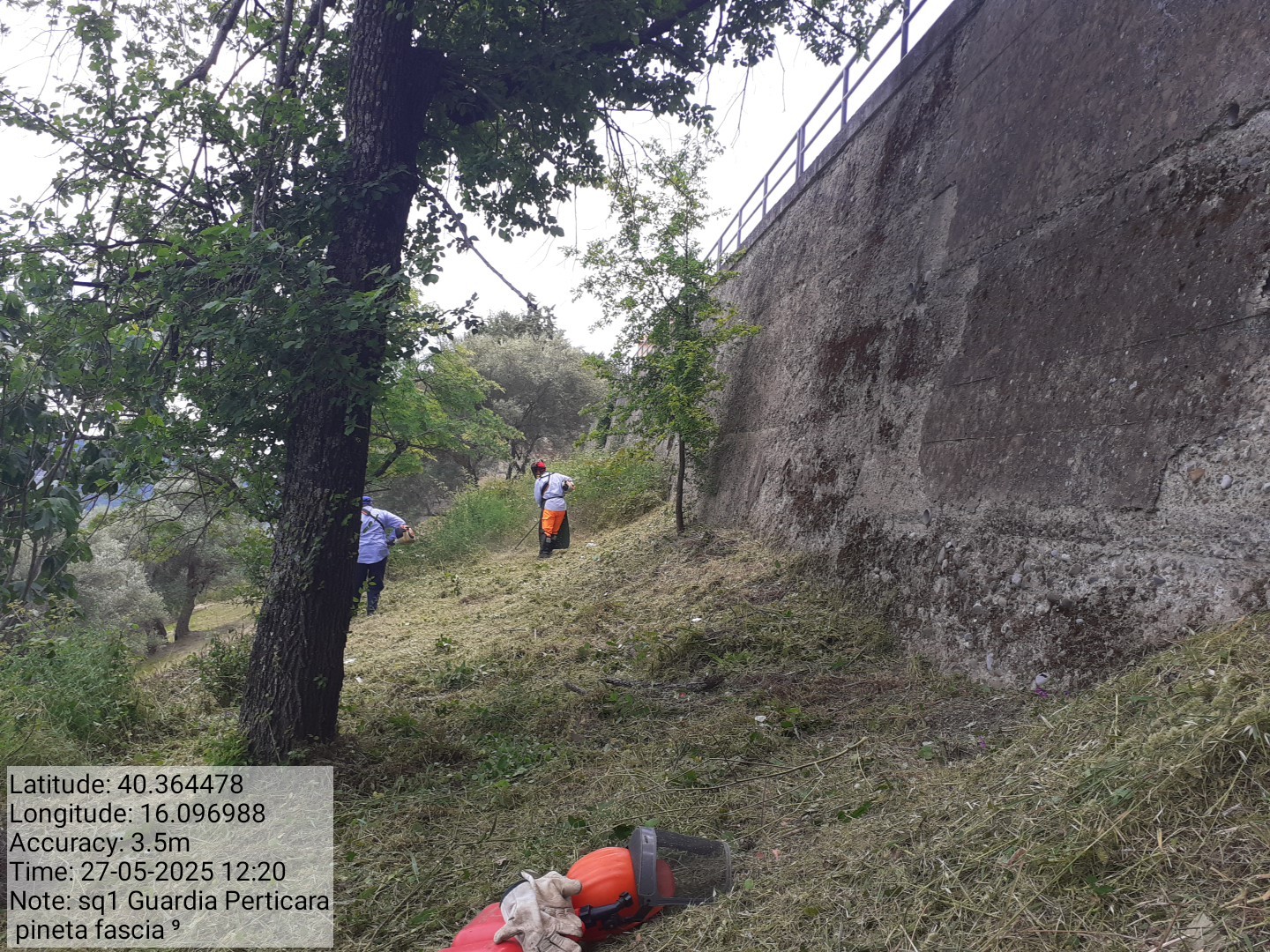 Galleria Fotografica Immagine