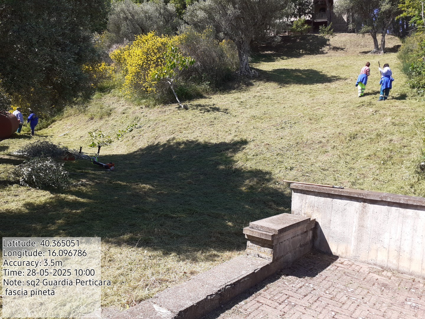 Galleria Fotografica Immagine