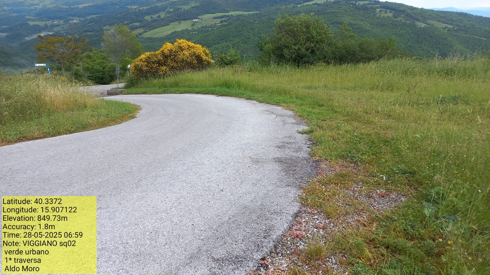 Galleria Fotografica Immagine