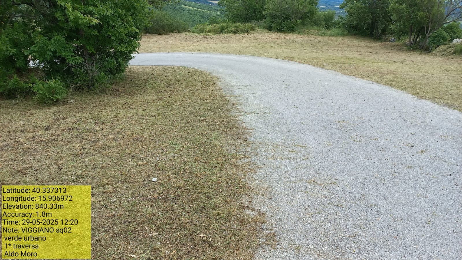 Galleria Fotografica Immagine