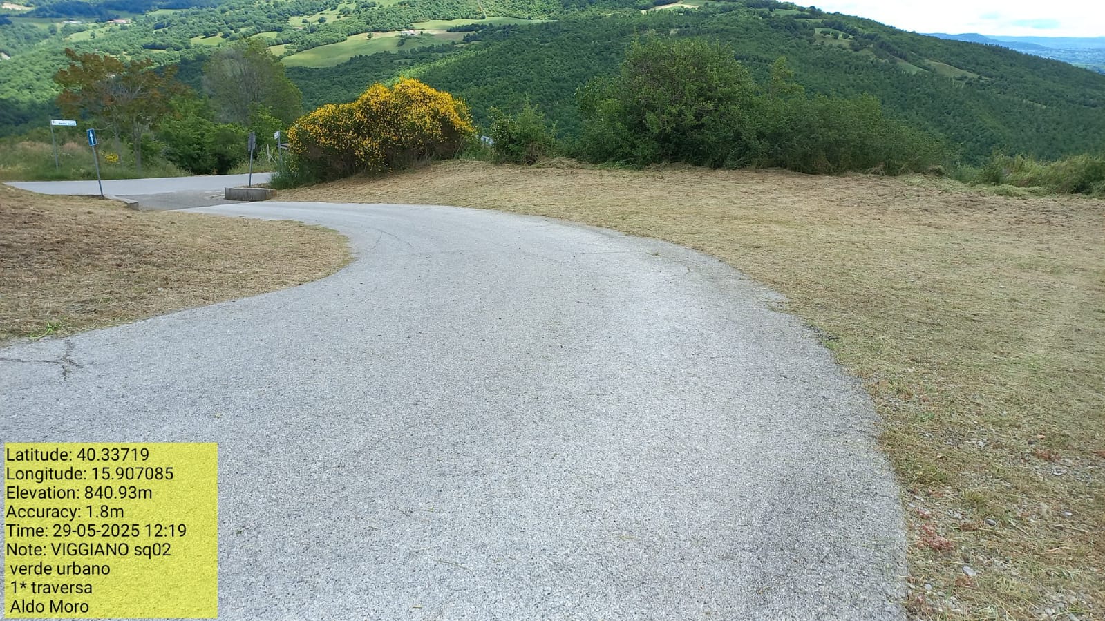 Galleria Fotografica Immagine