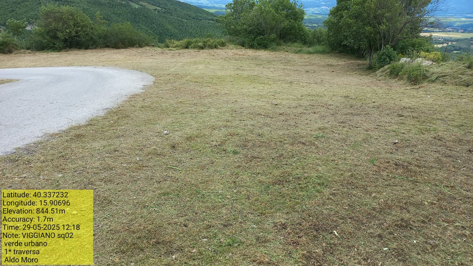 Galleria Fotografica Immagine