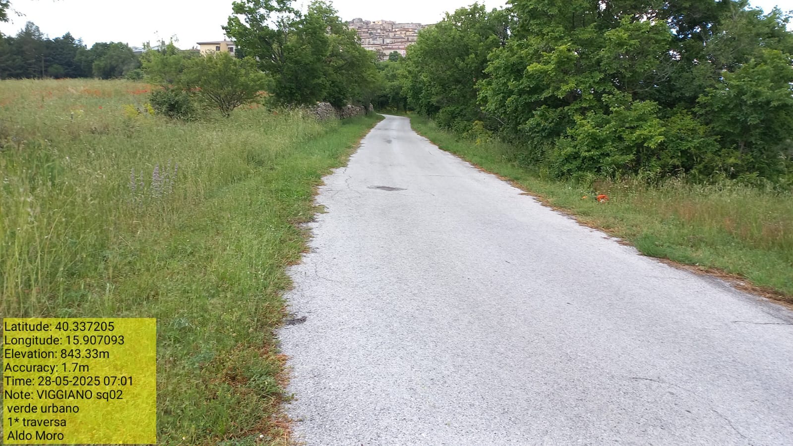 Galleria Fotografica Immagine