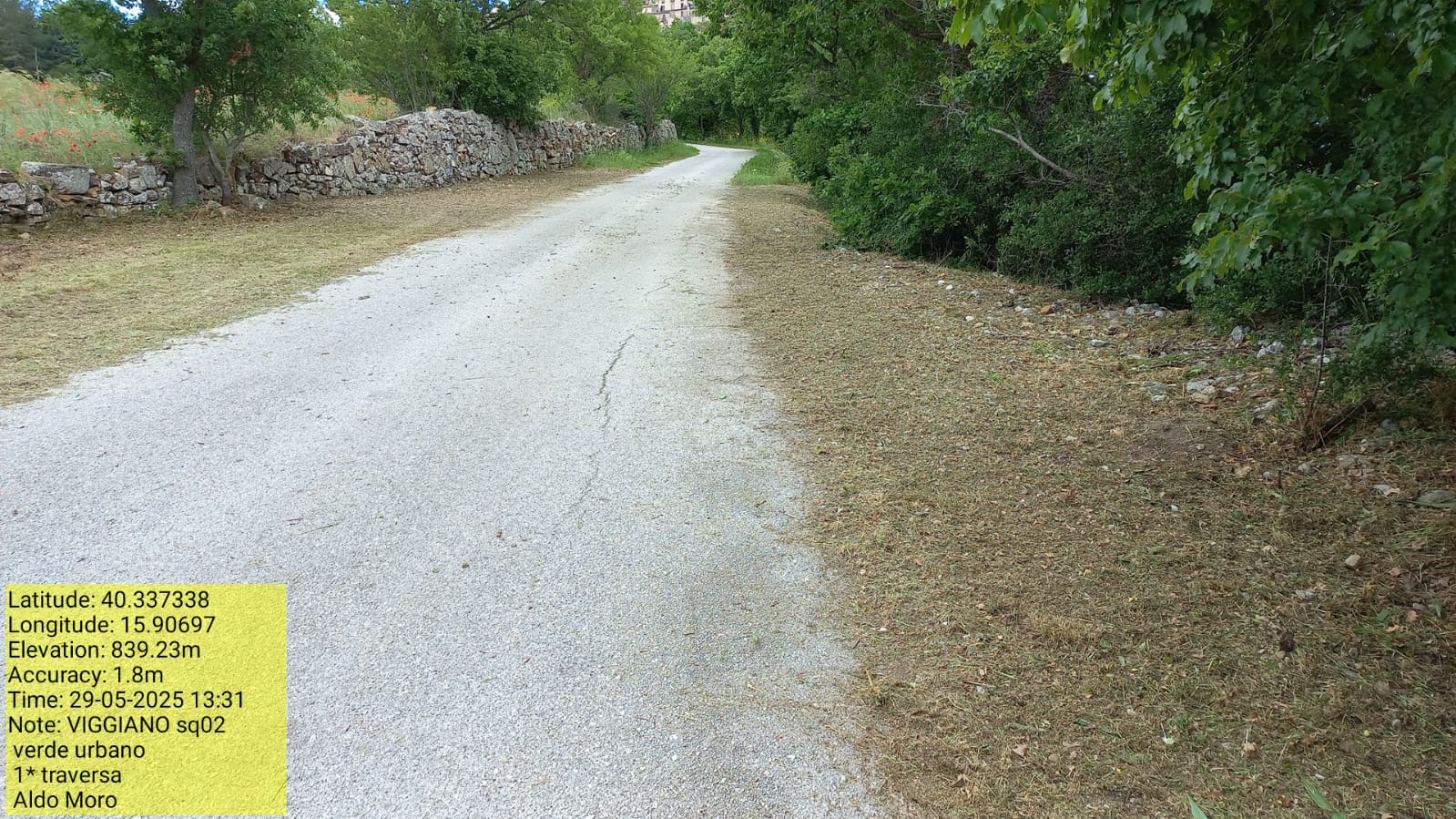 Galleria Fotografica Immagine