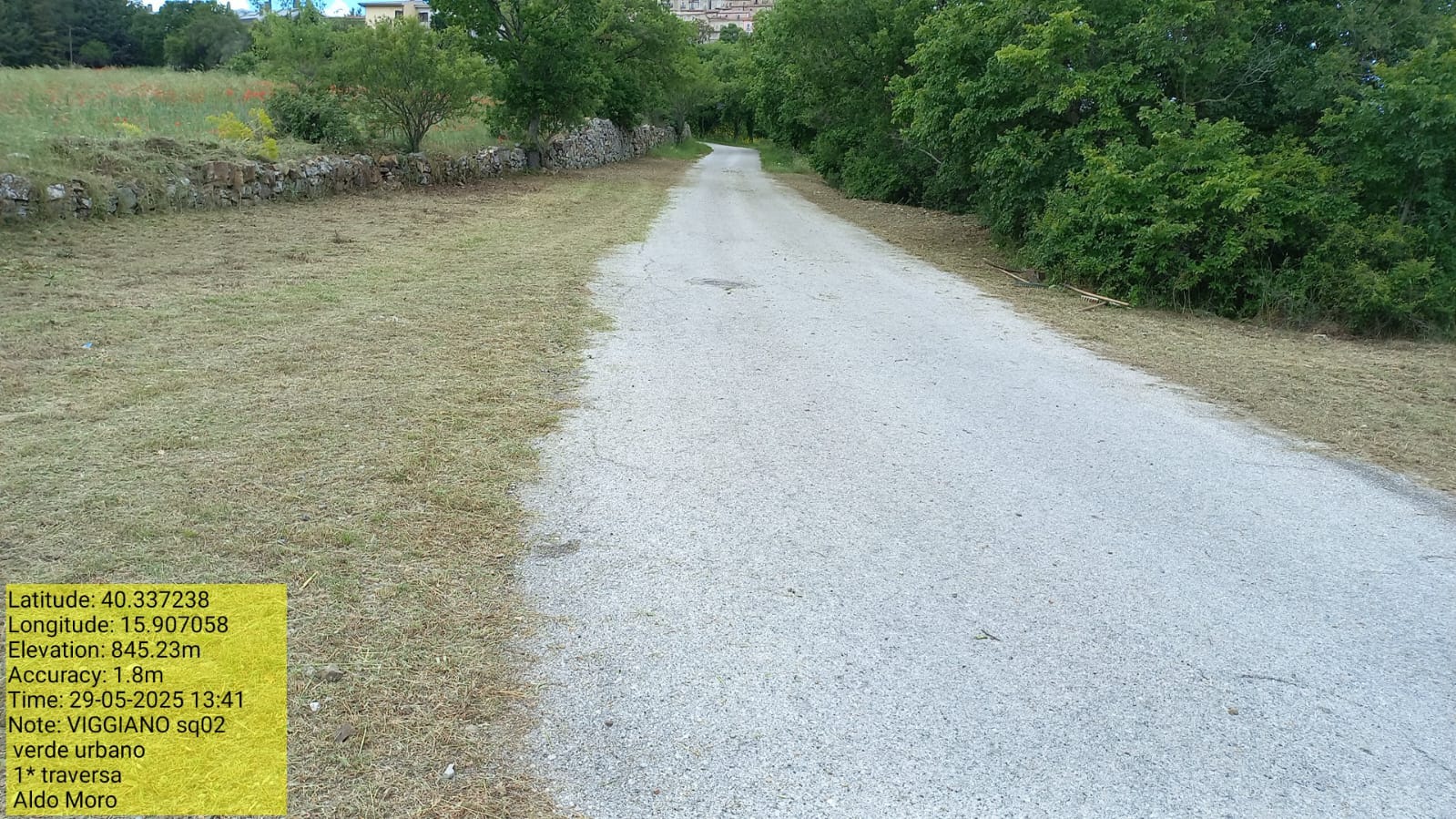 Galleria Fotografica Immagine