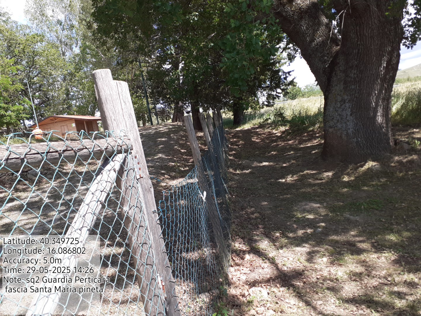 Galleria Fotografica Immagine