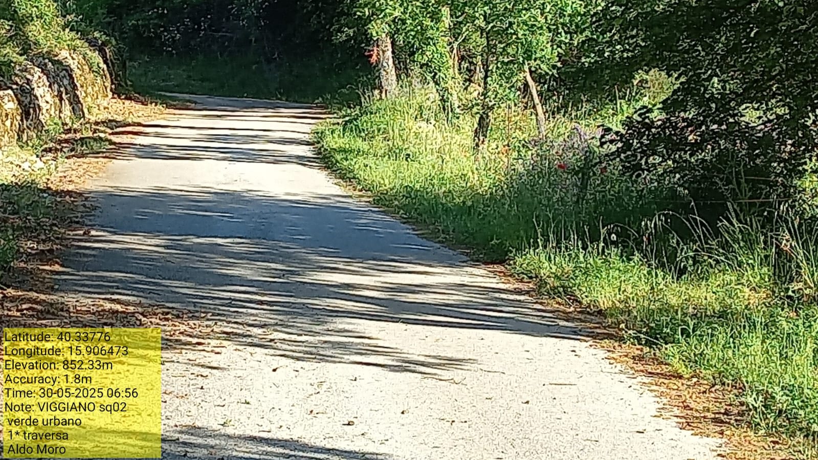 Galleria Fotografica Immagine