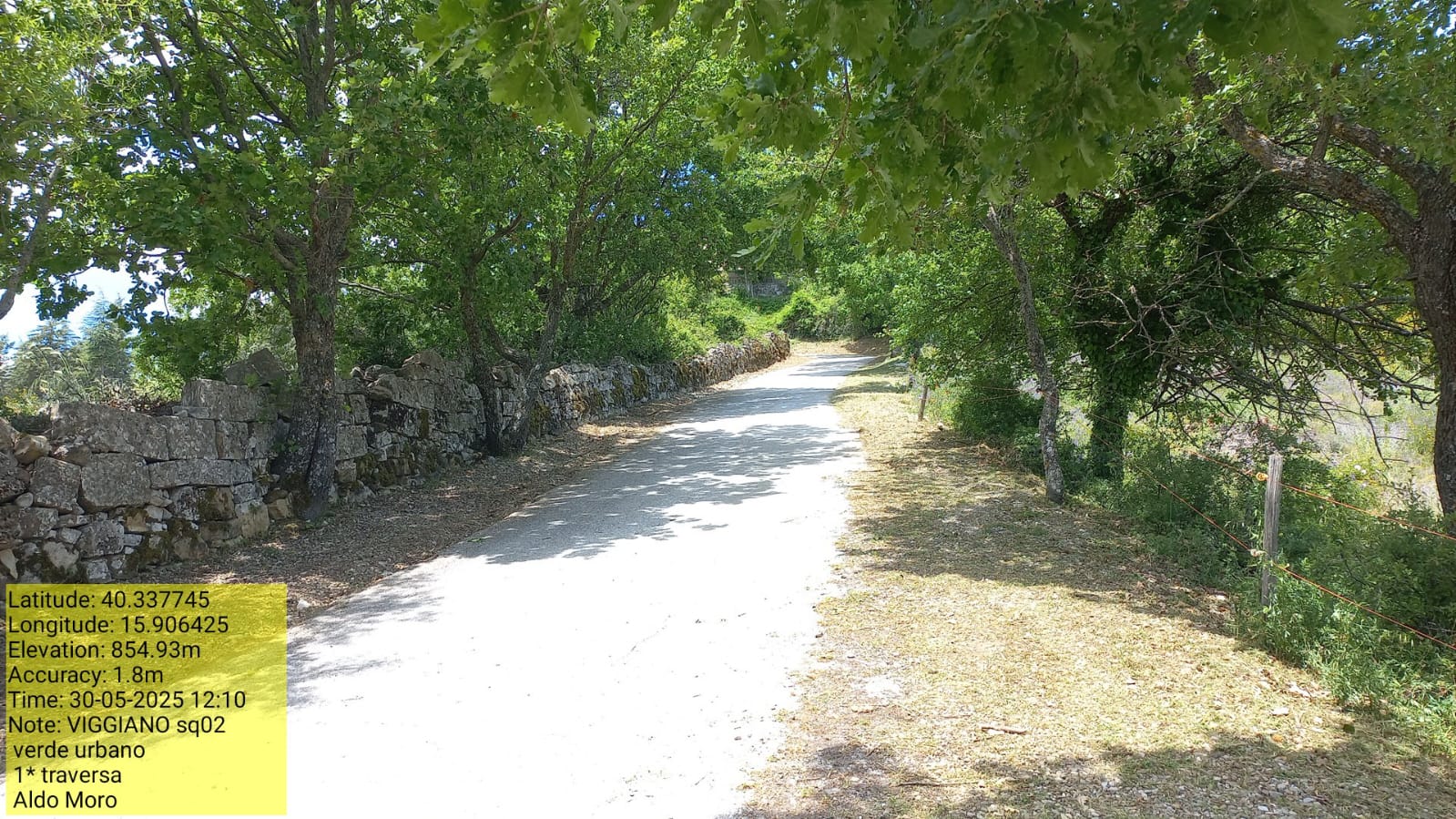 Galleria Fotografica Immagine